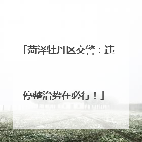 菏泽牡丹区交警：违停整治势在必行！